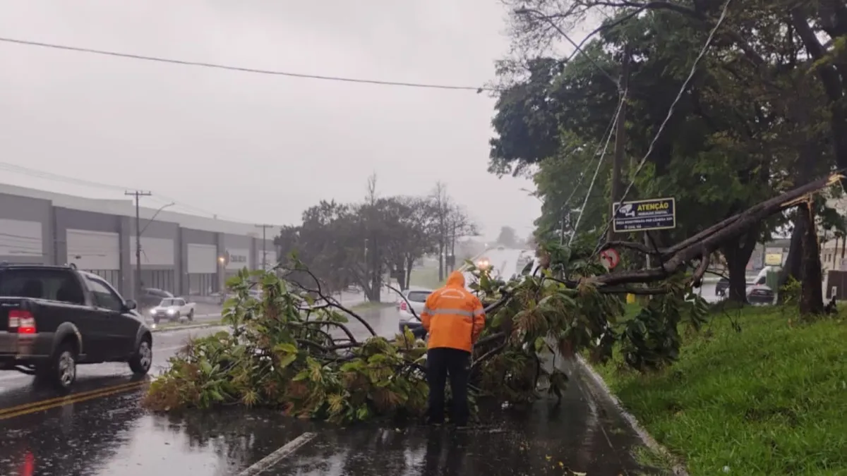 Defesa Civil de SP emite mais de 30 alertas por chuvas intensas